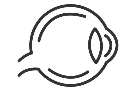 Eye Ball Icon. Graphics & Illustrations